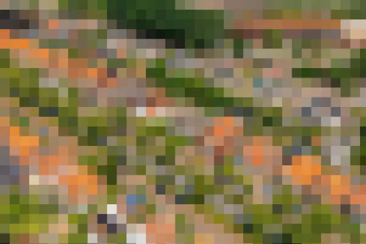 Tukseweg 84 Steenwijk thumbnail 83