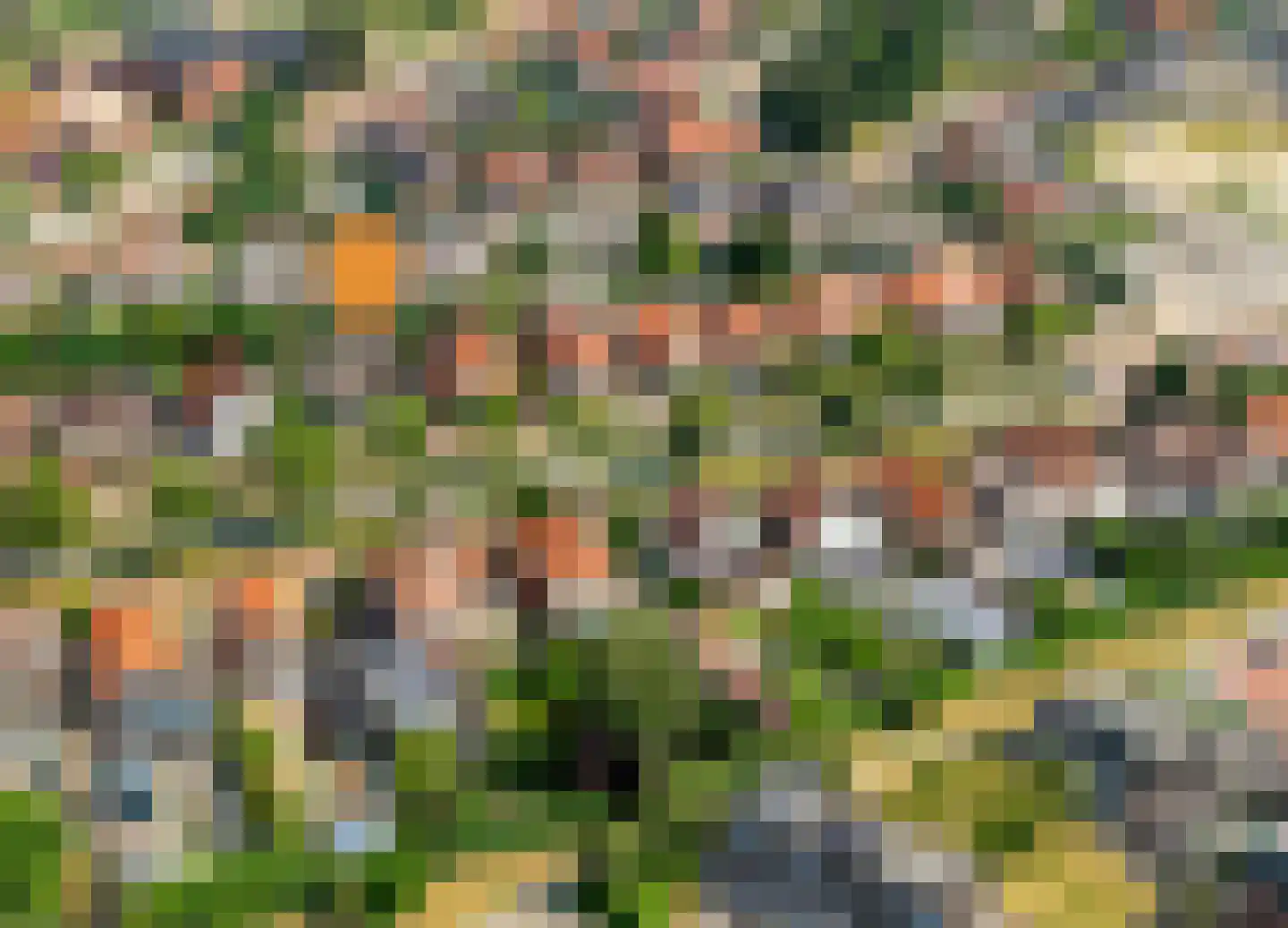 Tukseweg 84 Steenwijk thumbnail 84