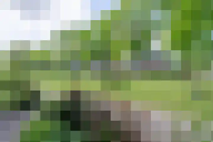 Tulameenpad 12 Zuidoostbeemster thumbnail 10