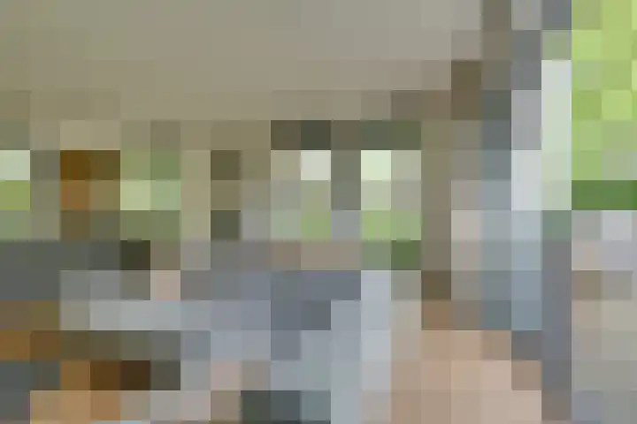 Tulameenpad 12 Zuidoostbeemster thumbnail 15