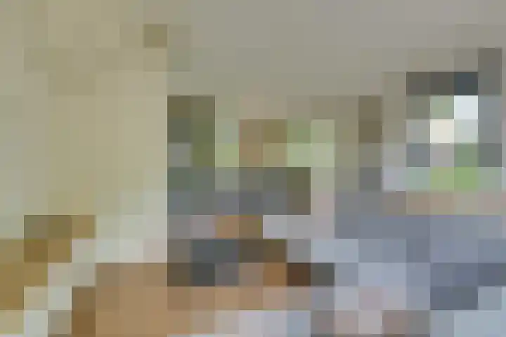 Tulameenpad 12 Zuidoostbeemster thumbnail 16