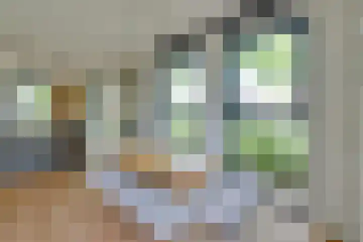Tulameenpad 12 Zuidoostbeemster thumbnail 17