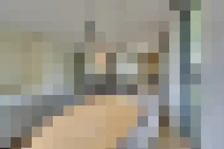 Tulameenpad 12 Zuidoostbeemster thumbnail 18