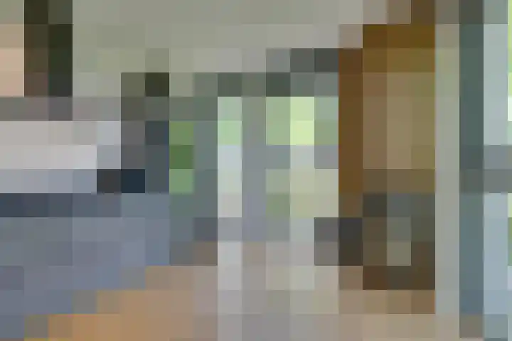 Tulameenpad 12 Zuidoostbeemster thumbnail 22