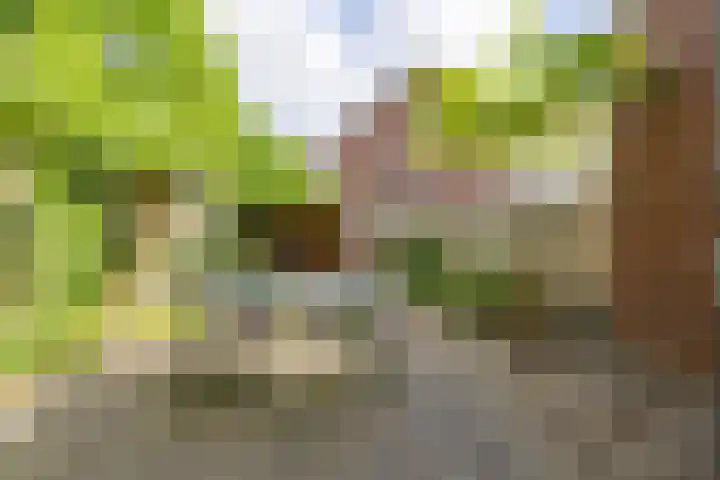 Tulameenpad 12 Zuidoostbeemster thumbnail 26