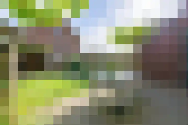 Tulameenpad 12 Zuidoostbeemster thumbnail 27
