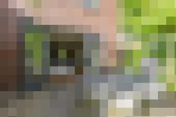 Tulameenpad 12 Zuidoostbeemster thumbnail 28