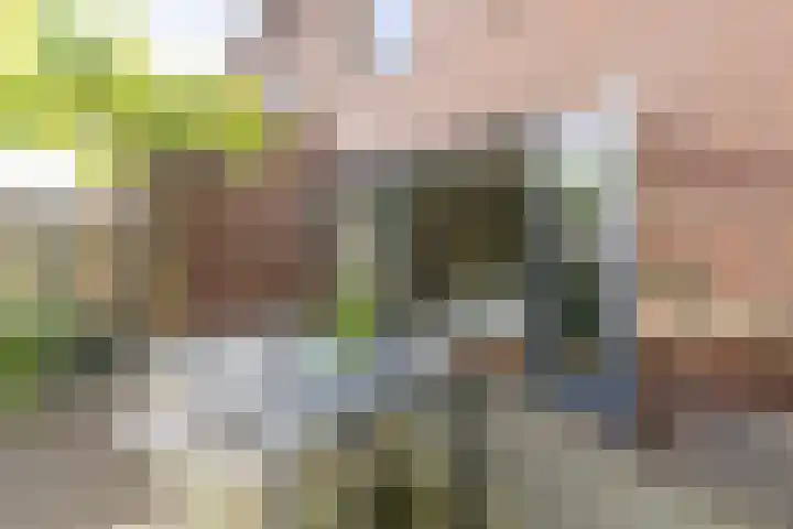 Tulameenpad 12 Zuidoostbeemster thumbnail 29
