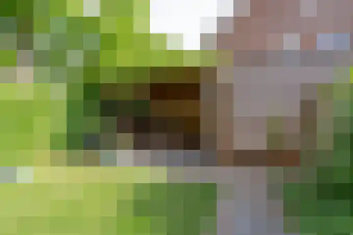 Tulameenpad 12 Zuidoostbeemster thumbnail 30