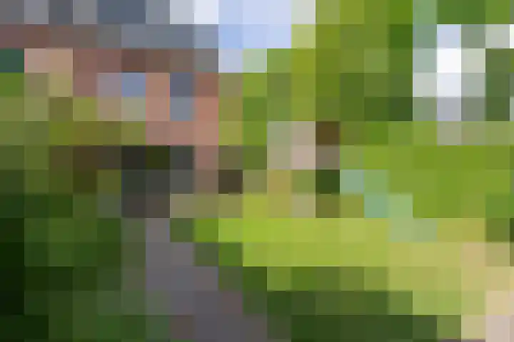 Tulameenpad 12 Zuidoostbeemster thumbnail 31