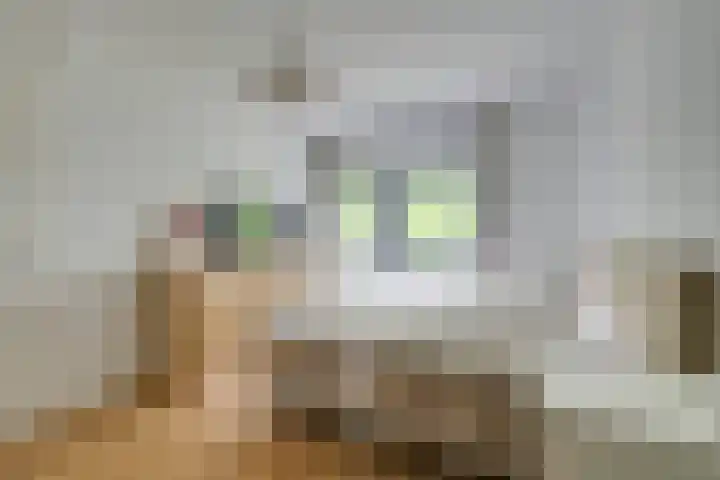 Tulameenpad 12 Zuidoostbeemster thumbnail 35