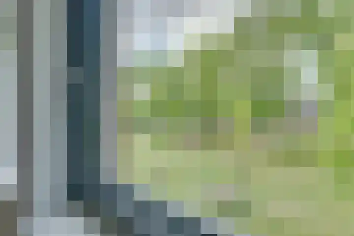 Tulameenpad 12 Zuidoostbeemster thumbnail 37