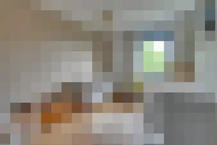 Tulameenpad 12 Zuidoostbeemster thumbnail 38