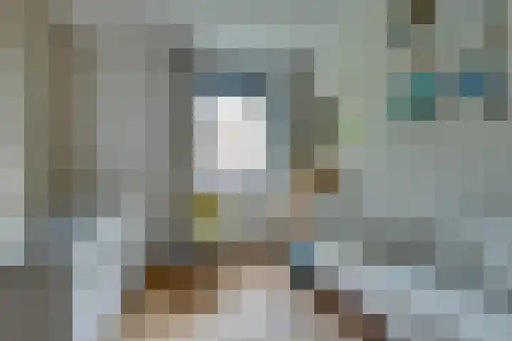 Tulameenpad 12 Zuidoostbeemster thumbnail 39