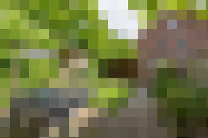 Tulameenpad 12 Zuidoostbeemster thumbnail 4