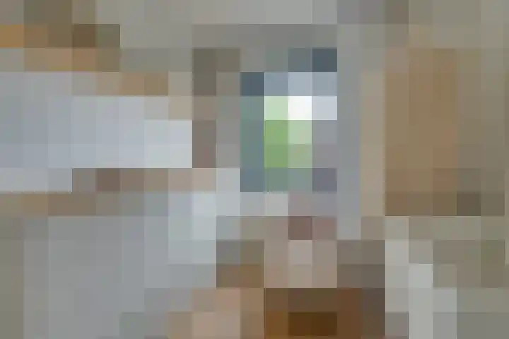 Tulameenpad 12 Zuidoostbeemster thumbnail 41