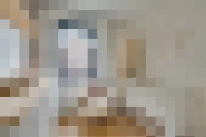 Tulameenpad 12 Zuidoostbeemster thumbnail 42