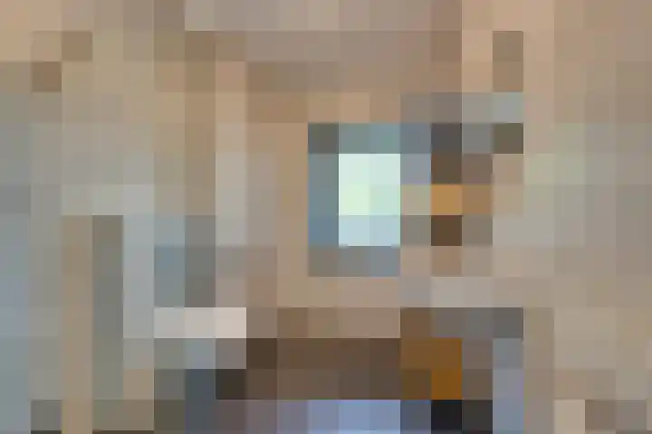 Tulameenpad 12 Zuidoostbeemster thumbnail 44