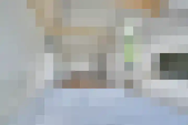 Tulameenpad 12 Zuidoostbeemster thumbnail 49