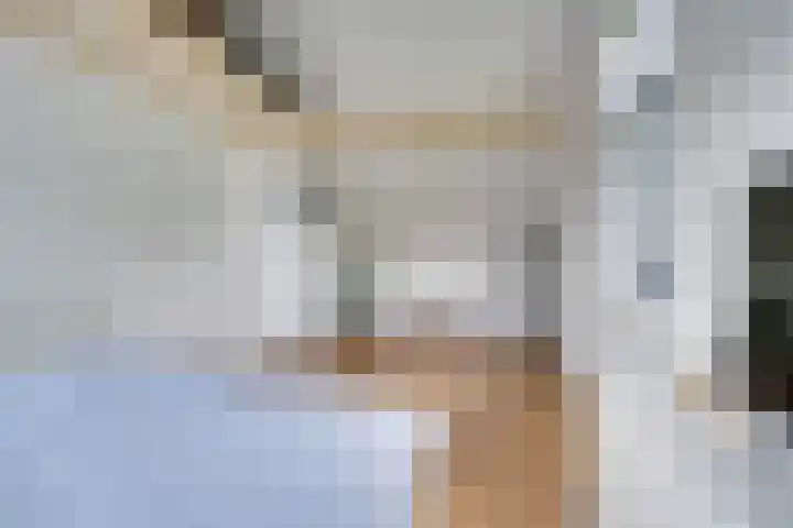 Tulameenpad 12 Zuidoostbeemster thumbnail 50
