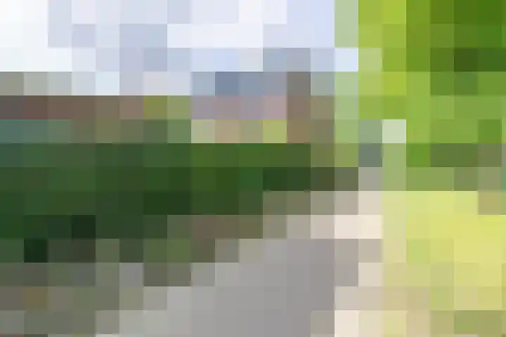 Tulameenpad 12 Zuidoostbeemster thumbnail 52
