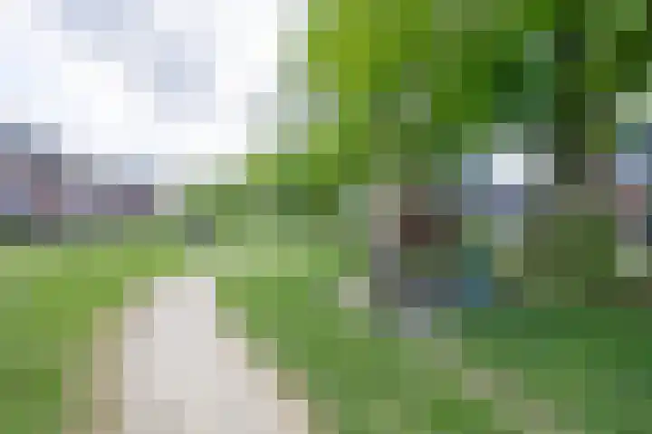 Tulameenpad 12 Zuidoostbeemster thumbnail 53