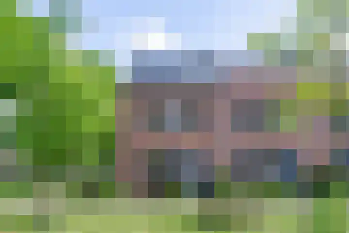 Tulameenpad 12 Zuidoostbeemster thumbnail 55