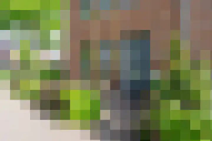Tulameenpad 12 Zuidoostbeemster thumbnail 6