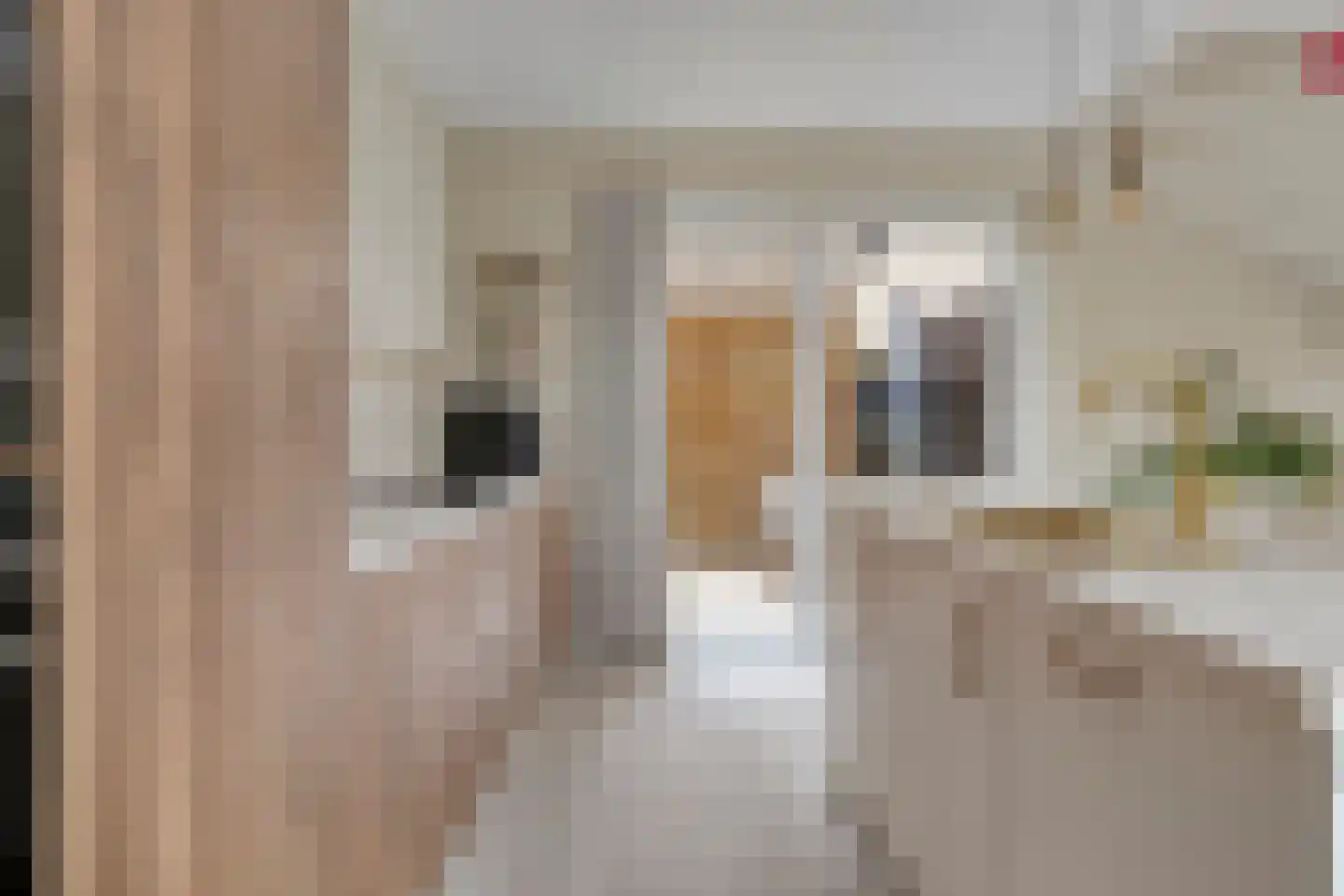 Tulastraat 25 Rotterdam thumbnail 17
