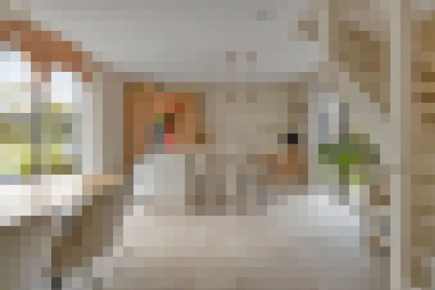 Tulastraat 25 Rotterdam thumbnail 4