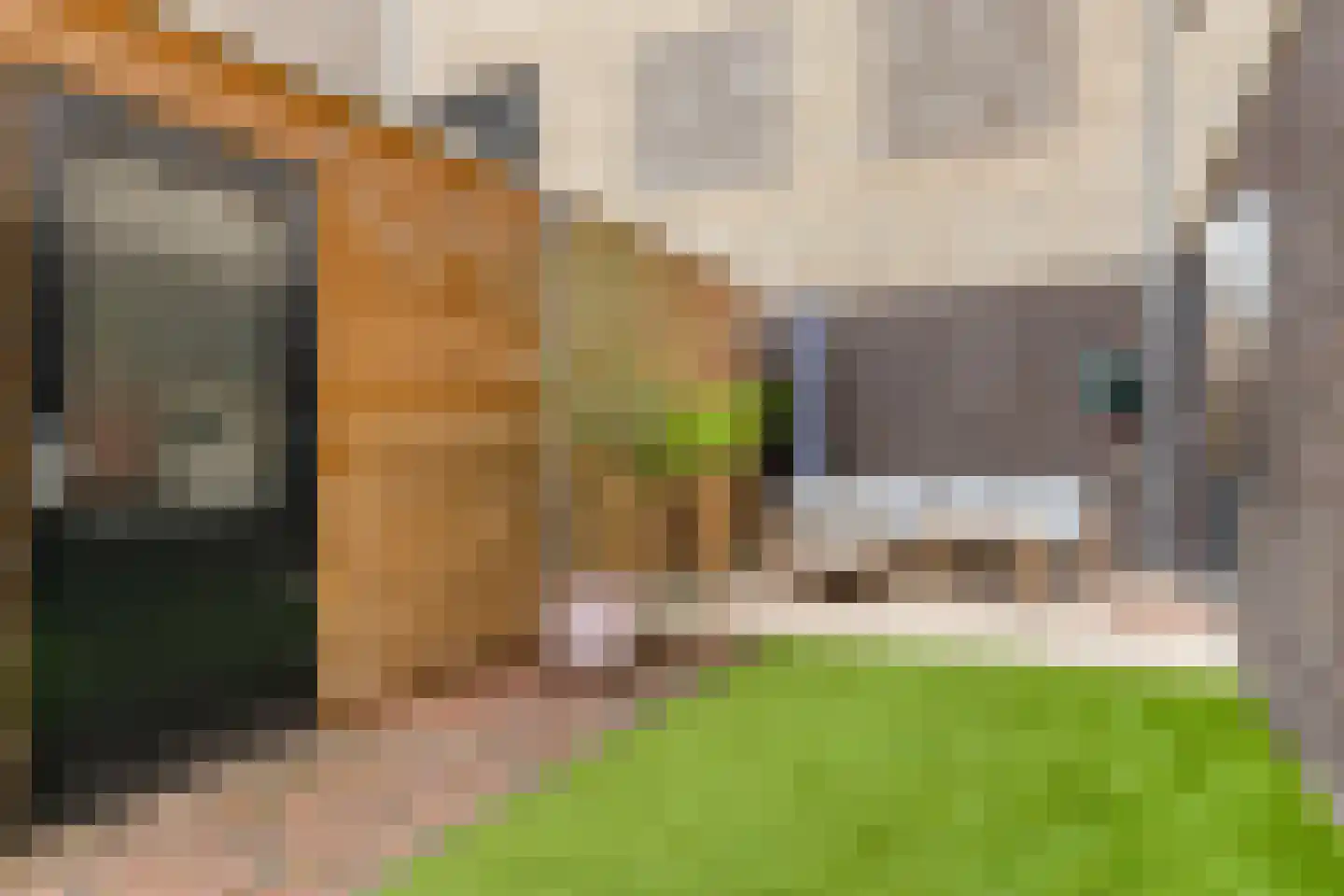 Tulastraat 25 Rotterdam thumbnail 52