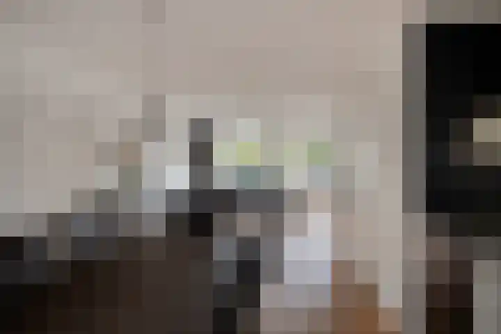 Tulderhei 11 Veldhoven thumbnail 12