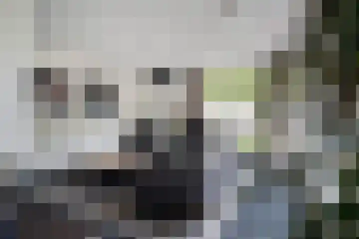 Tulderhei 11 Veldhoven thumbnail 17