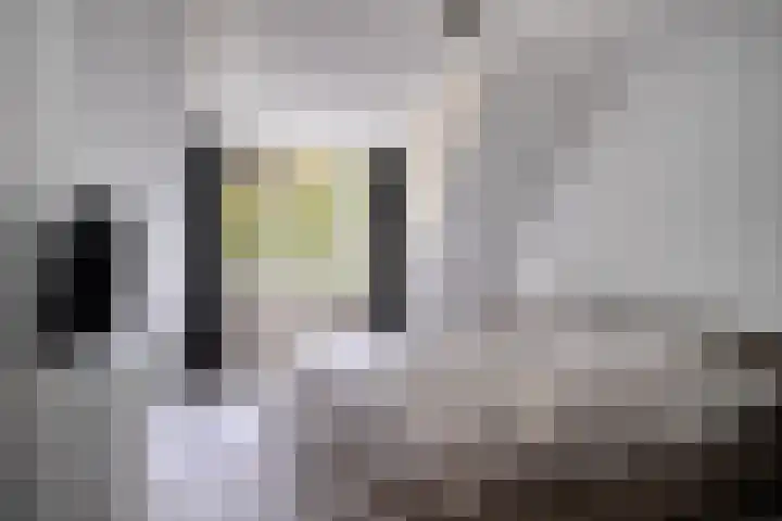 Tulderhei 11 Veldhoven thumbnail 24