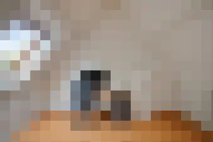 Tulderhei 11 Veldhoven thumbnail 35