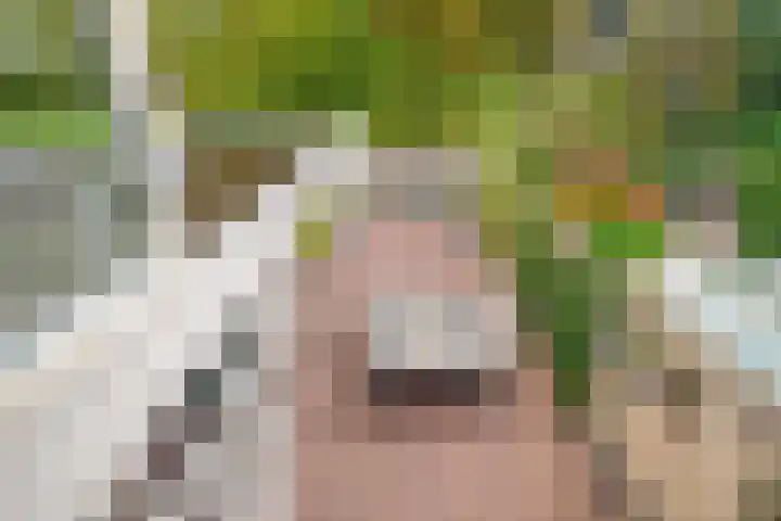 Tulderhei 11 Veldhoven thumbnail 38