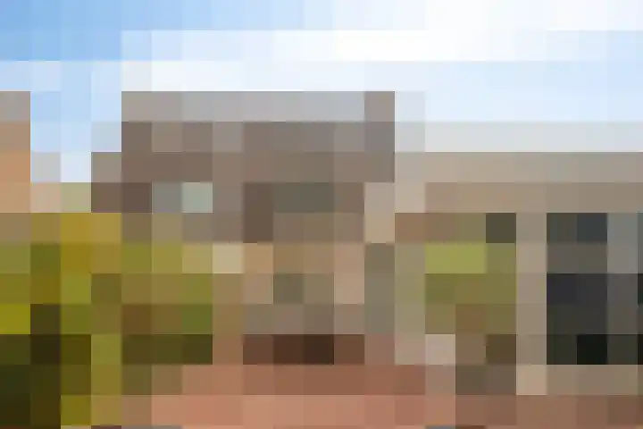 Tulderhei 11 Veldhoven thumbnail 4