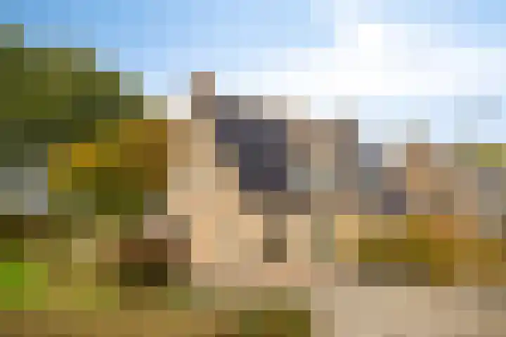 Tulderhei 11 Veldhoven thumbnail 43