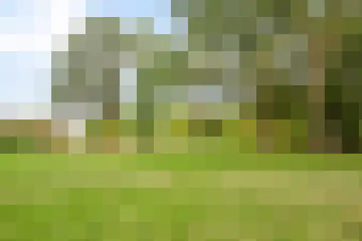 Tulderhei 11 Veldhoven thumbnail 46