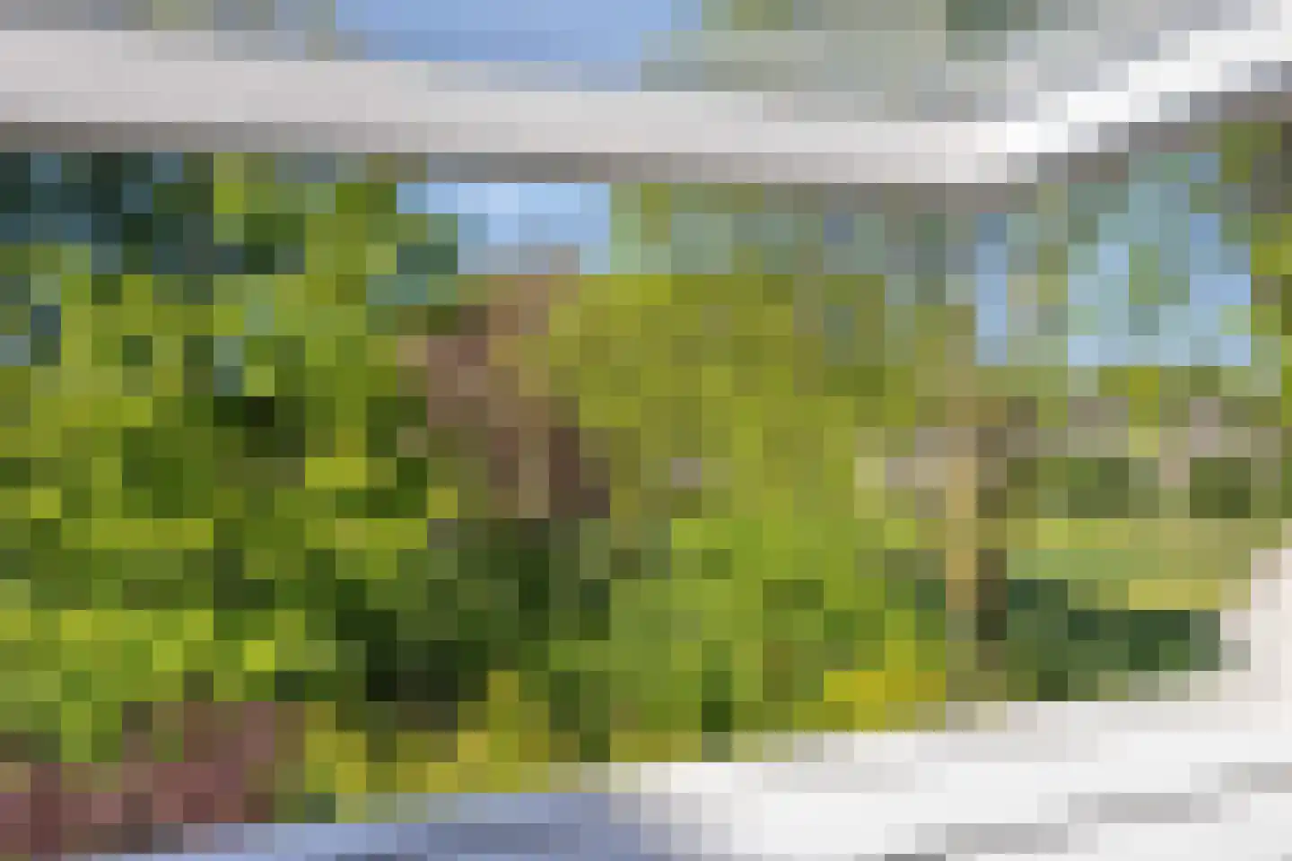 Tulderhei 19 Veldhoven thumbnail 35