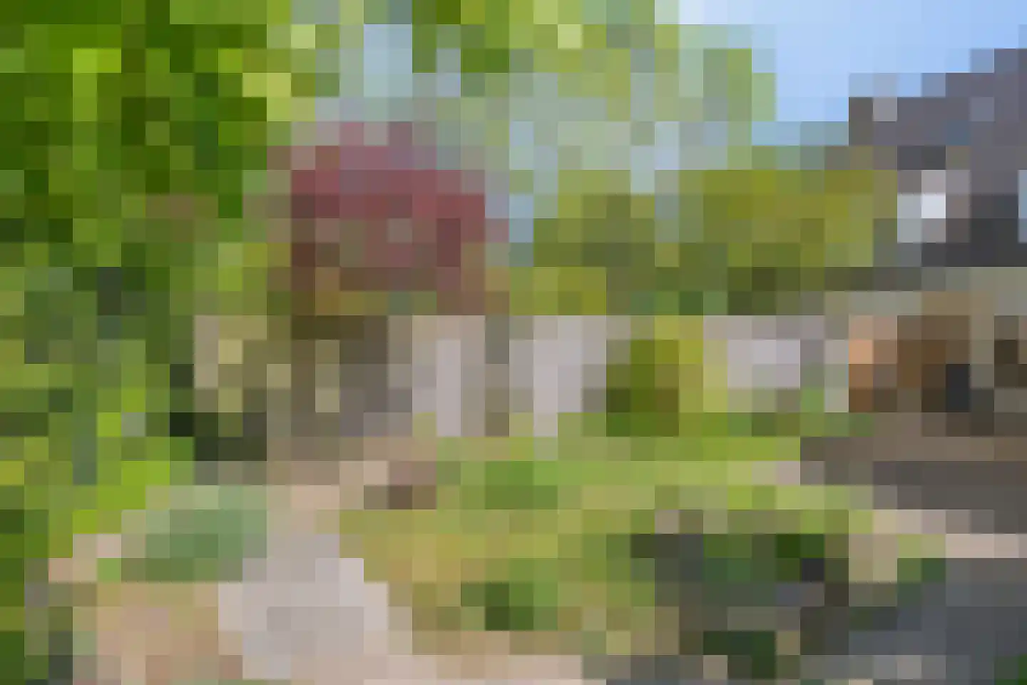 Tulderhei 19 Veldhoven thumbnail 35