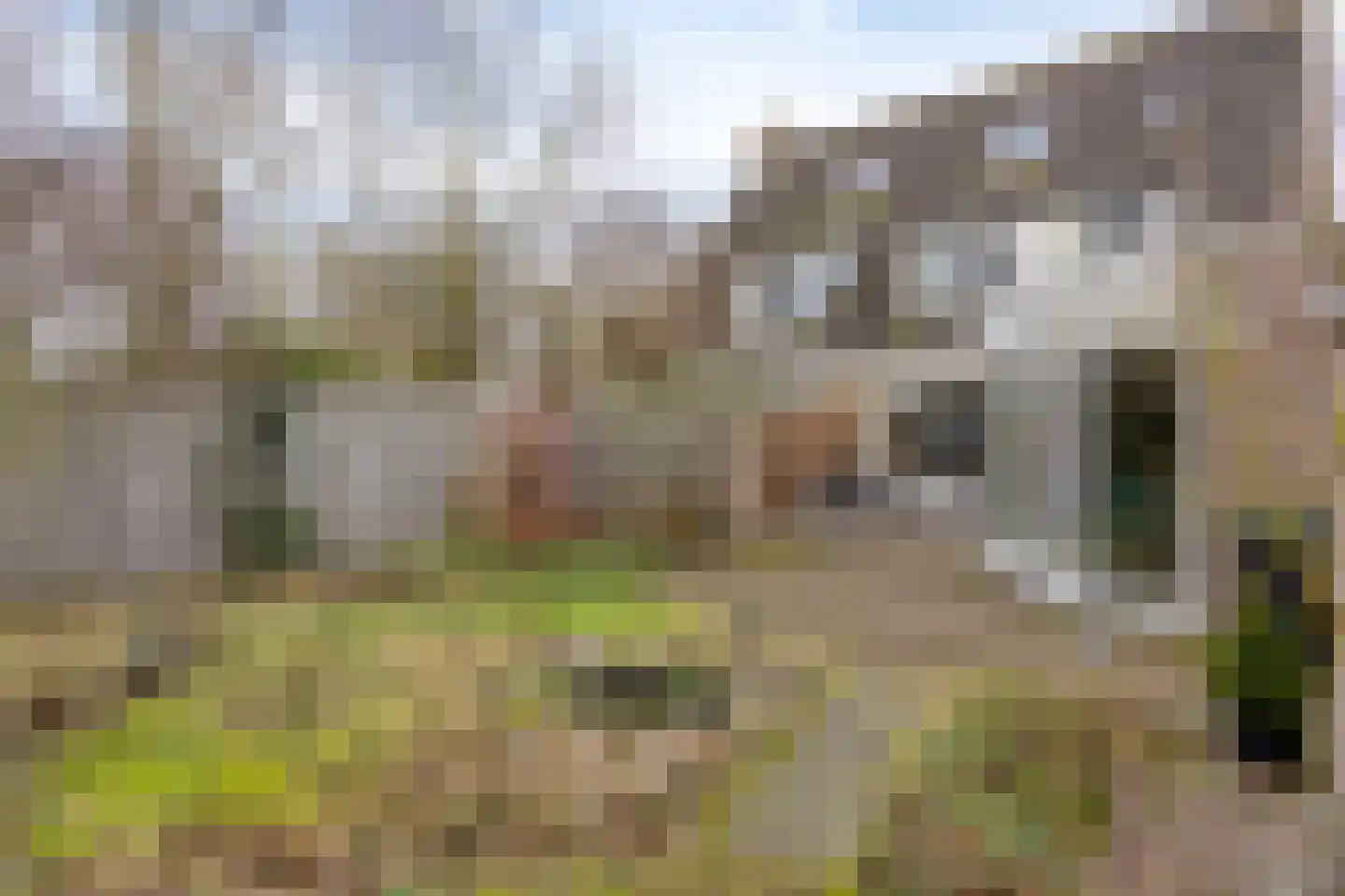 Tulderhei 19 Veldhoven thumbnail 36