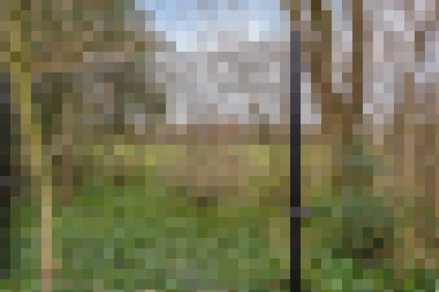 Tulderhei 19 Veldhoven thumbnail 37