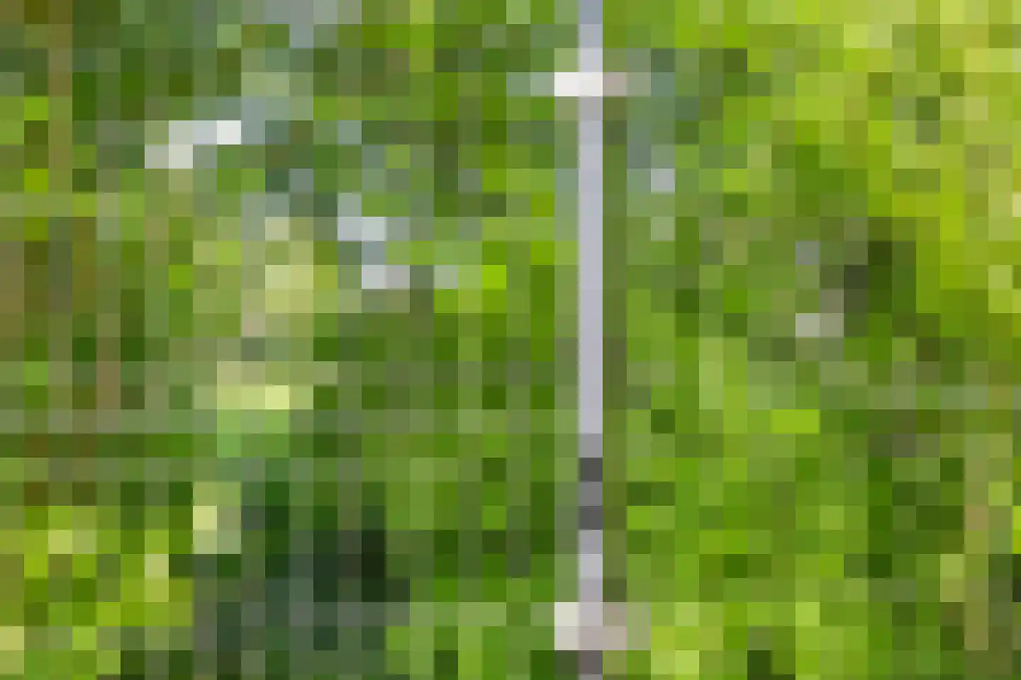 Tulderhei 19 Veldhoven thumbnail 38