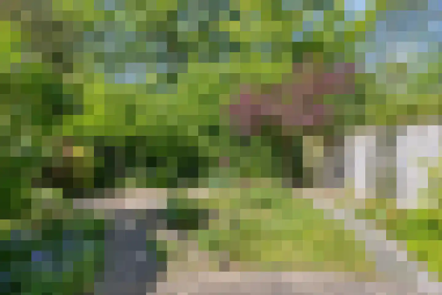 Tulderhei 19 Veldhoven thumbnail 39