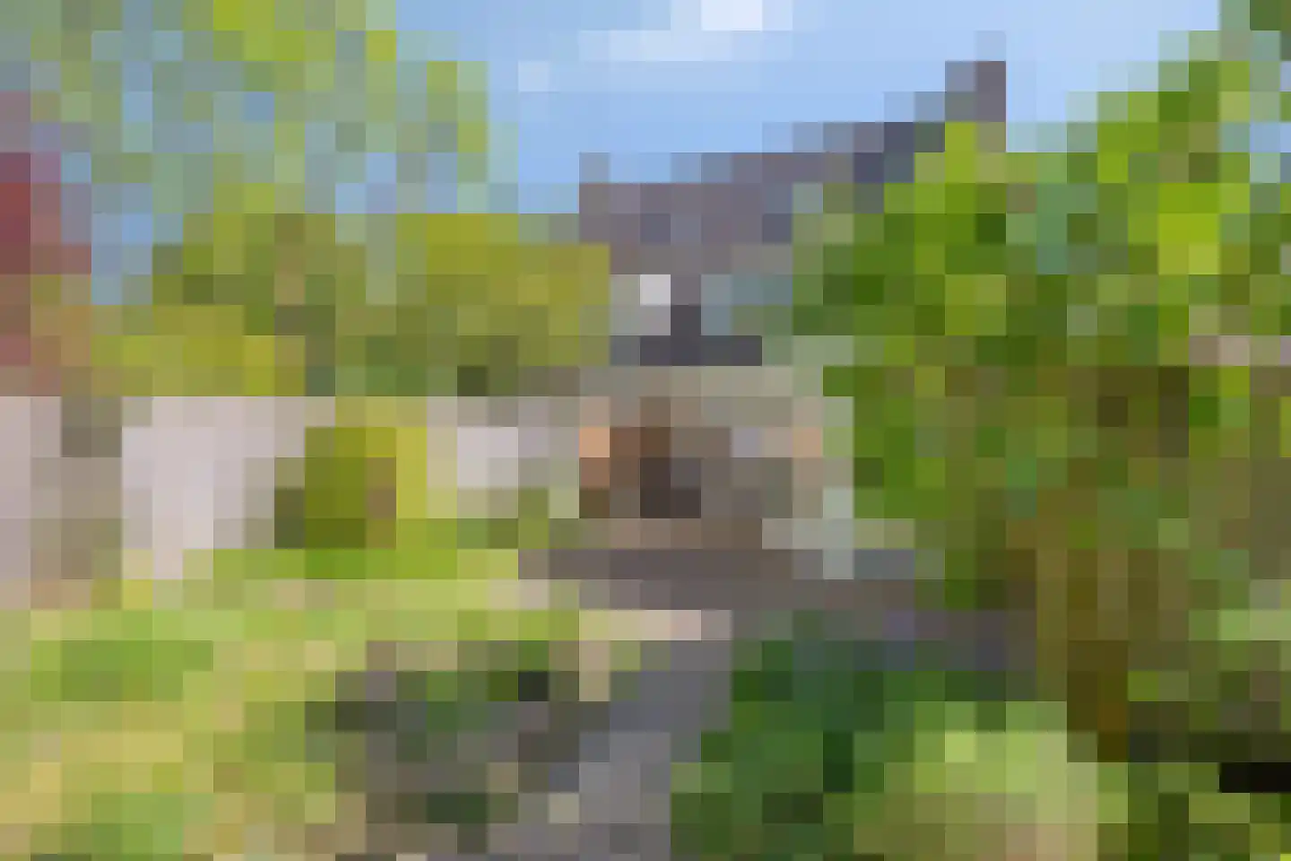 Tulderhei 19 Veldhoven thumbnail 5