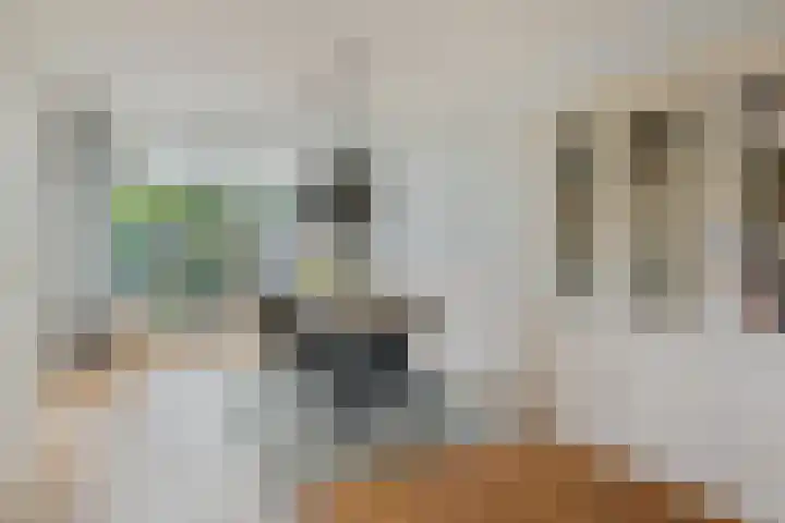 Tulestraat 5 Borne thumbnail 15