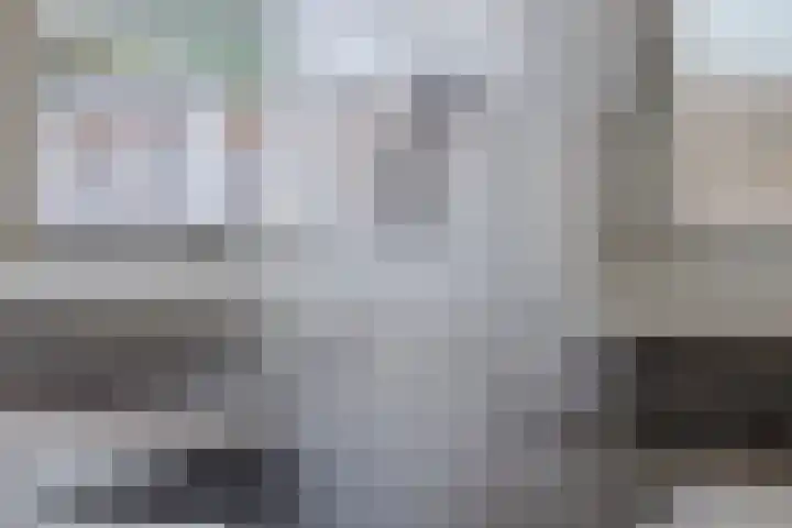 Tulestraat 5 Borne thumbnail 19