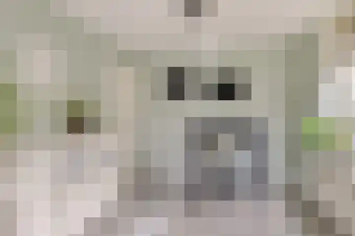 Tulestraat 5 Borne thumbnail 25