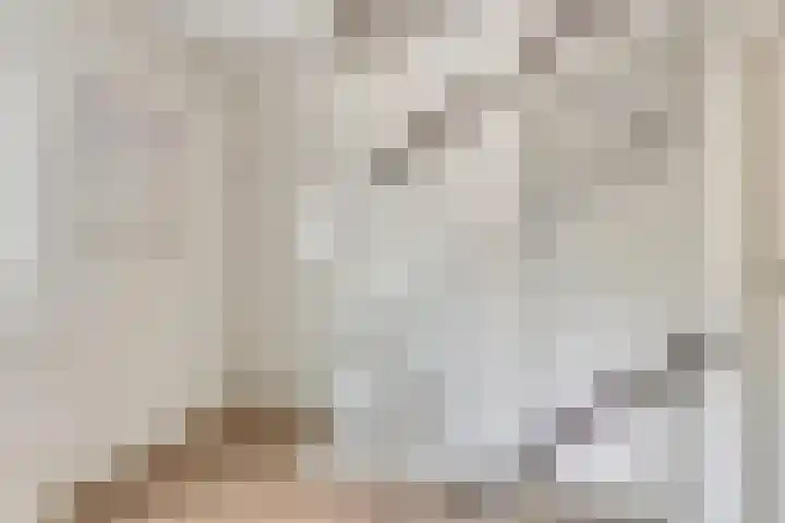 Tulestraat 5 Borne thumbnail 27
